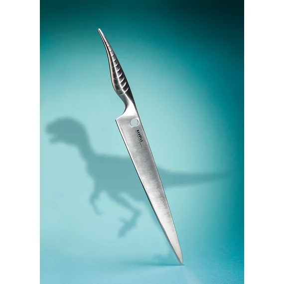  Manufacturer: SAMURA Samura REPTILE AFFETTARE (Slicing knife) C670SRP045