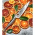 Samura REPTILE FILETTARE (Utility knife) C670SRP023